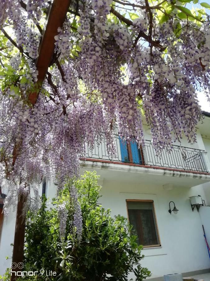 Villa Biancofiore 산 조반니 로톤도 외부 사진